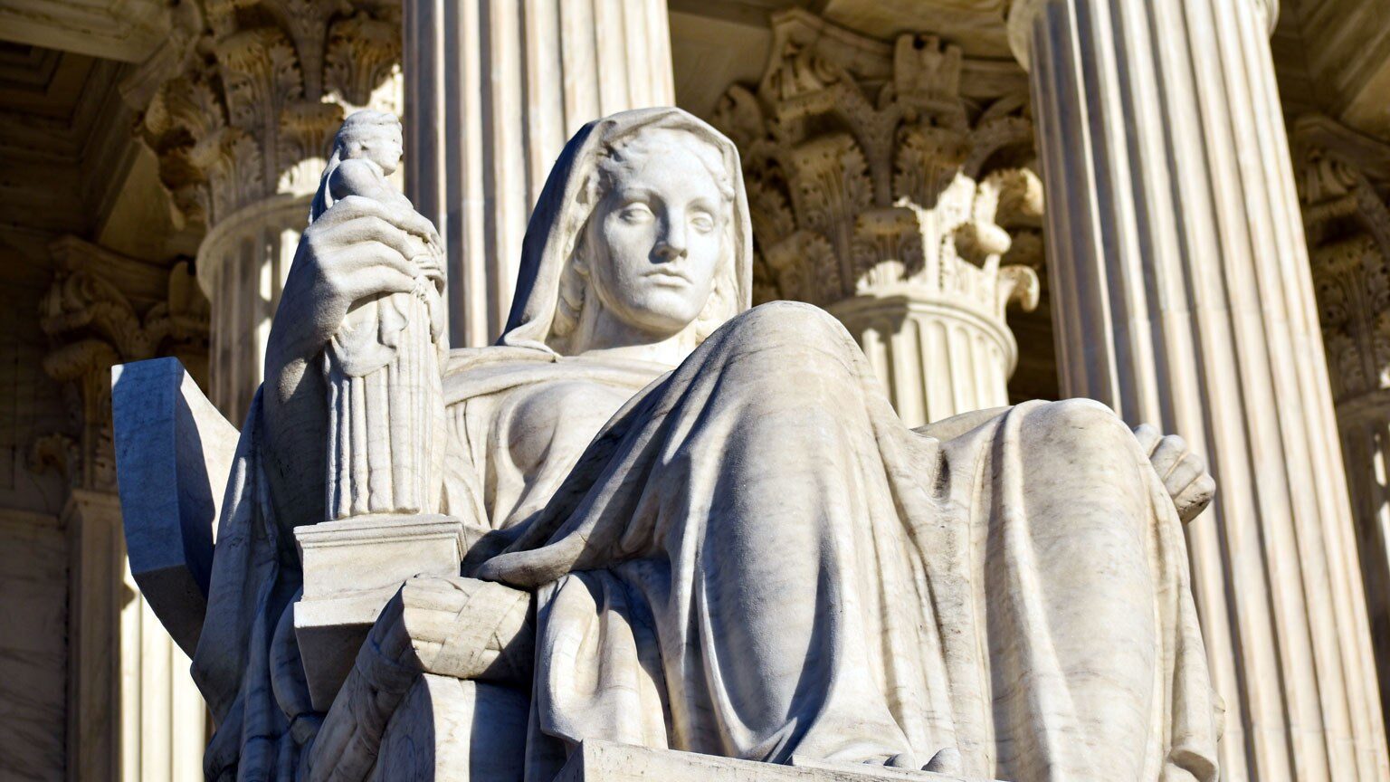 Environmental toxic tort law